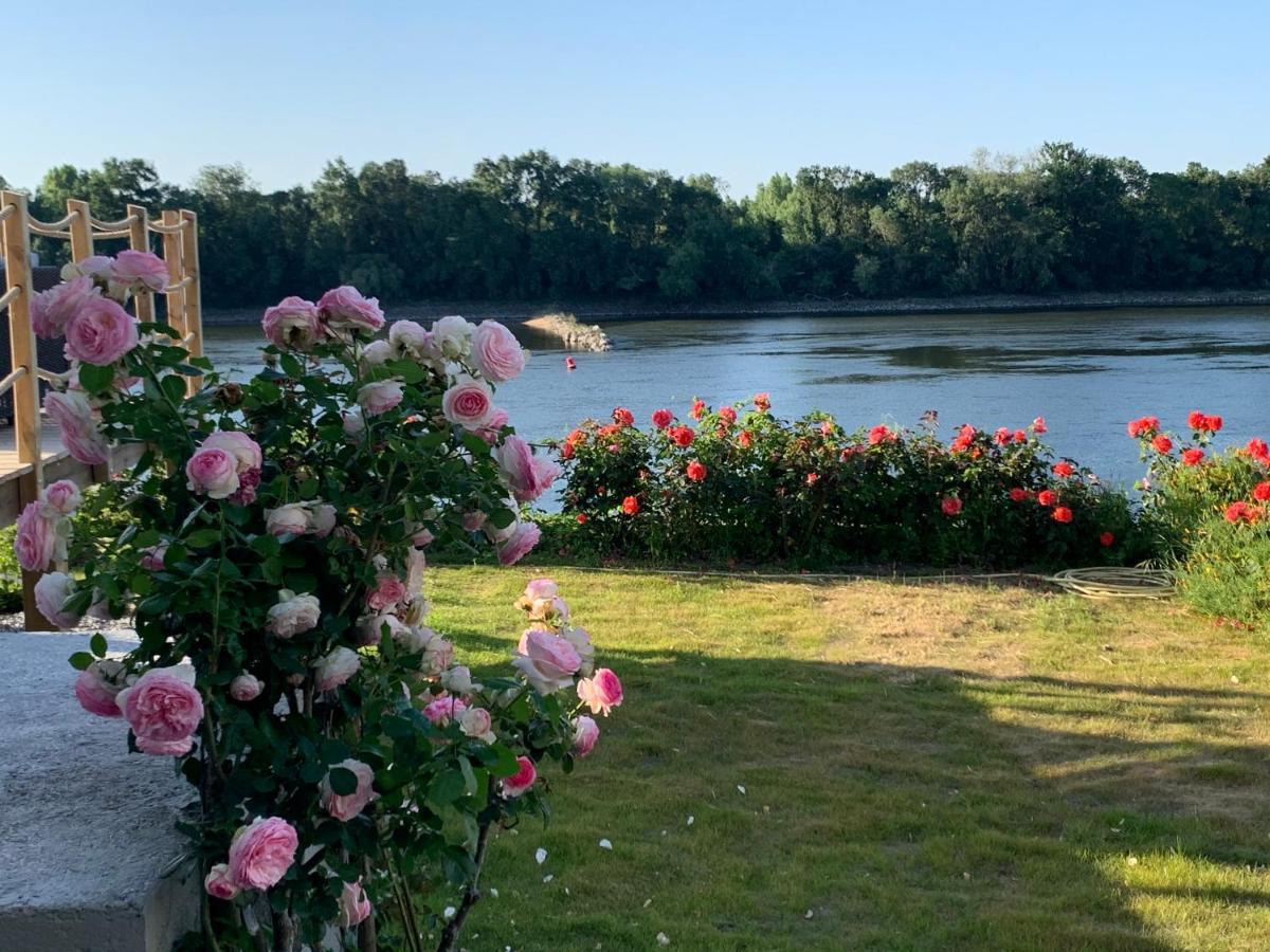 Maisons Au Bord De La Loire - Maison Paradis & Maison Bonheur Au 248 Riverside Le Fosse-Neuf Bagian luar foto